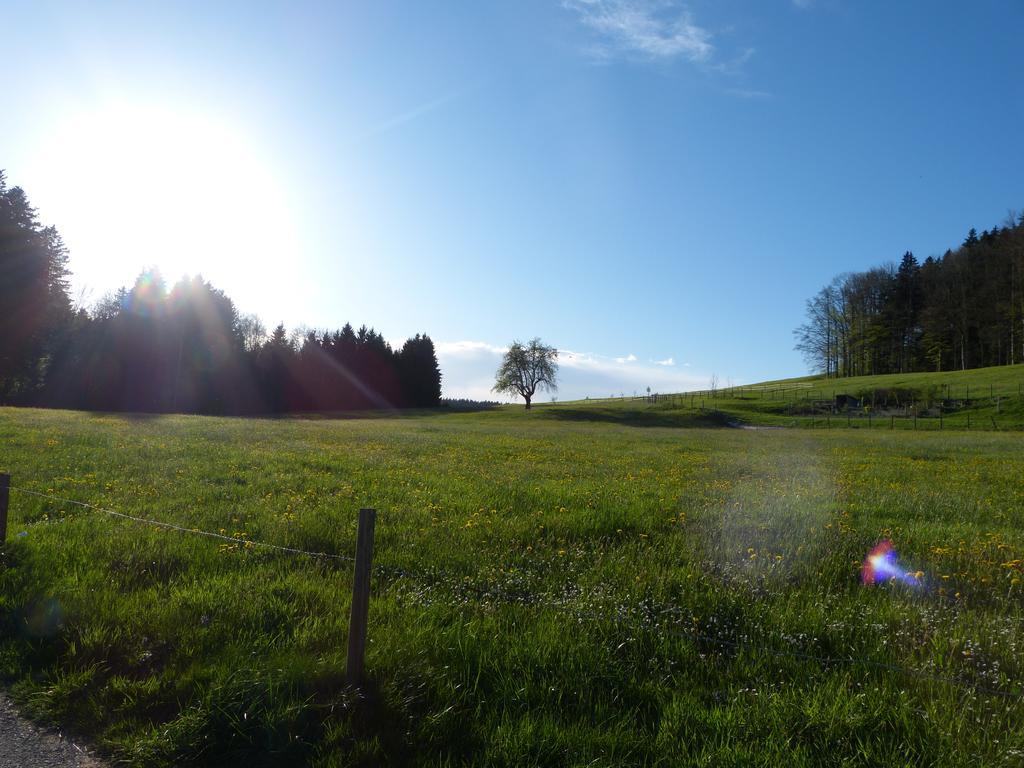 Landgasthof Saentisblick Abtwil Exterior foto